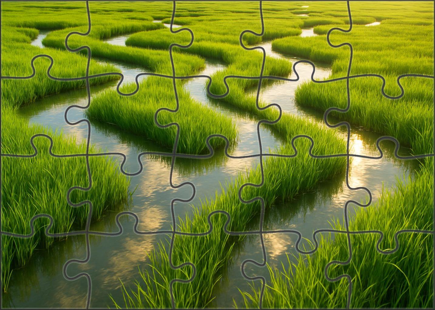 Sun-dappled River Delta Premium Puzzle Pieces