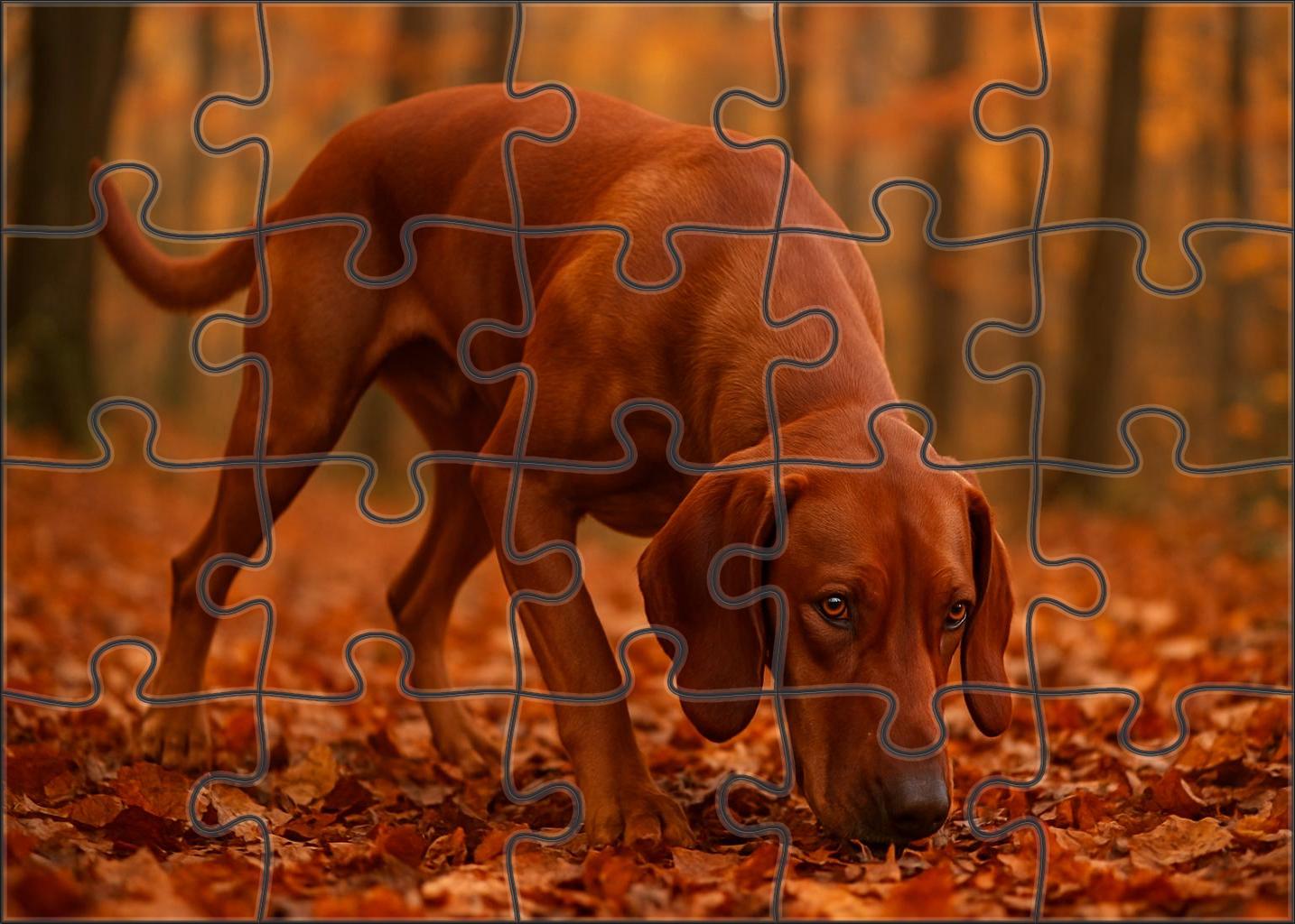Crimson Drift Vibrant Red Coated Scent Hound With Gentle Eyes 200 Piece Puzzle