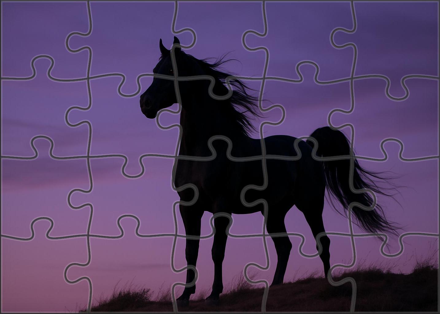 Midnight Velvet Arabian Stallion Midnight Black With Regal Bearing Puzzle Collection