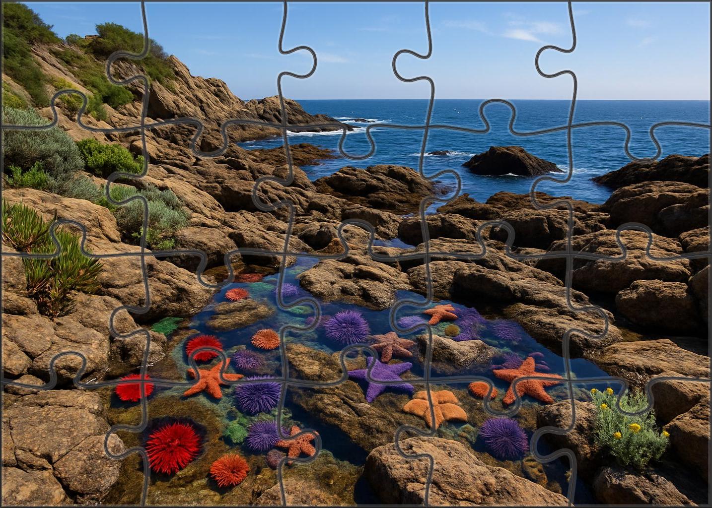 Tidepool Headland Walk 300 Piece Puzzle