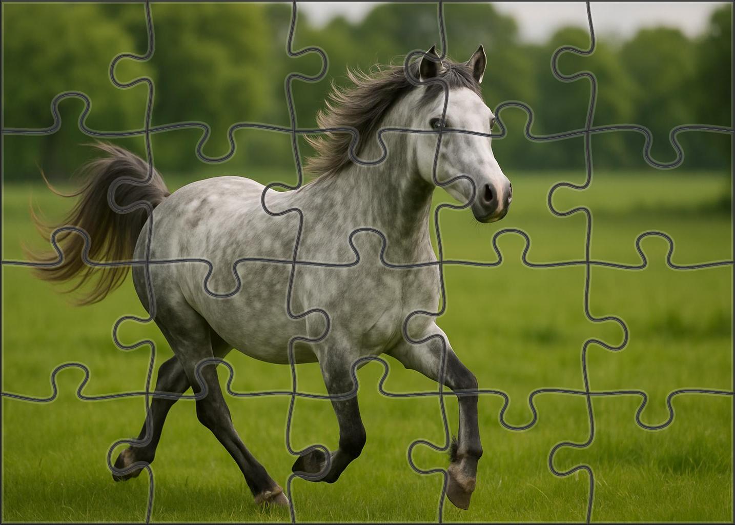 Silver Lining Welsh Pony Dapple Gray Mare With Playful Disposition Large Format Puzzle
