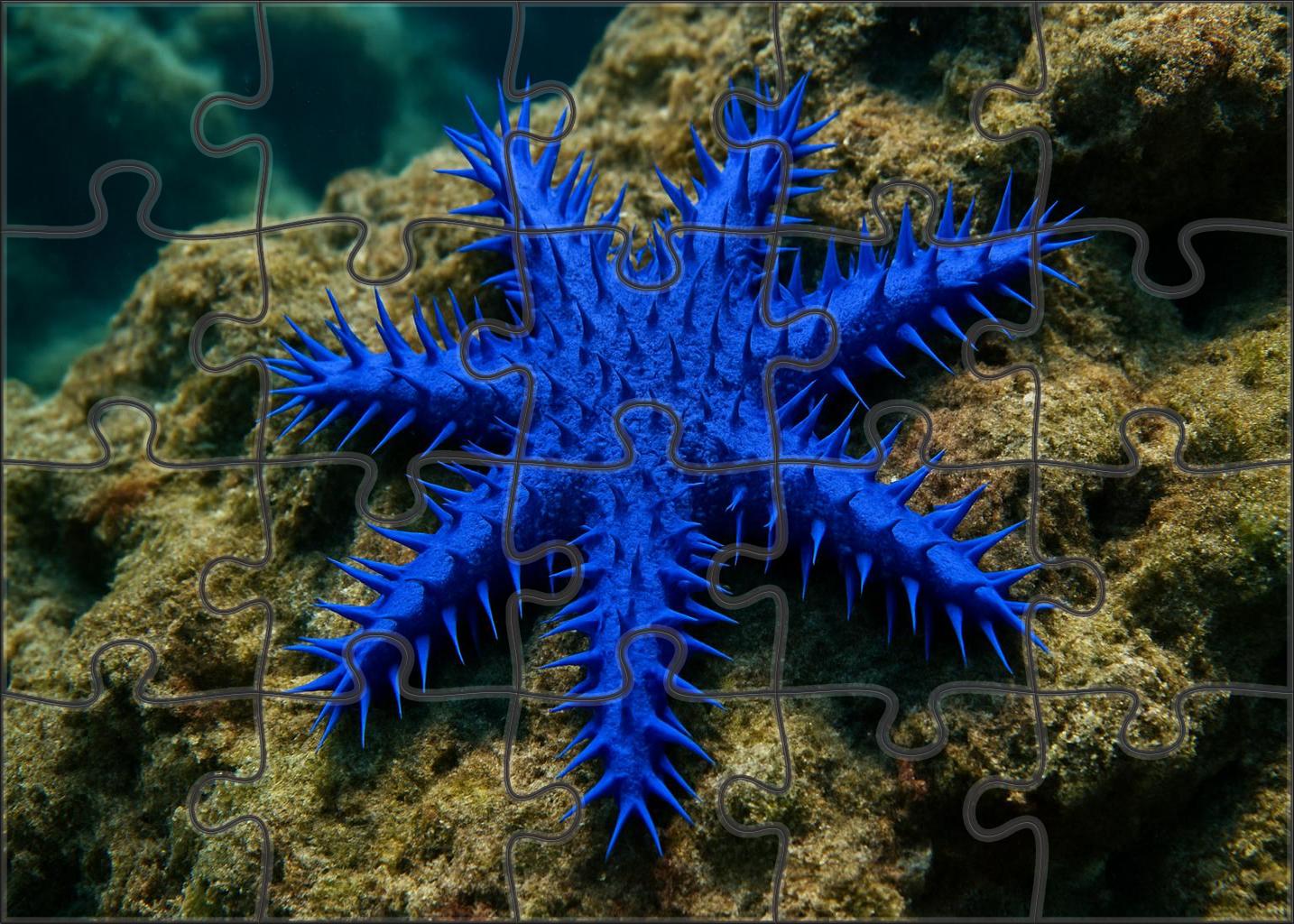 Sapphire Thorn Star Radiant Echinoderm With Vibrant Spiked Rays Mini Puzzle