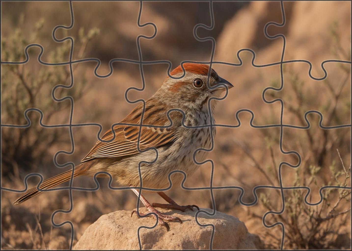 Rufous-crowned Sparrow Secretive Canyon Dweller Puzzle Fun