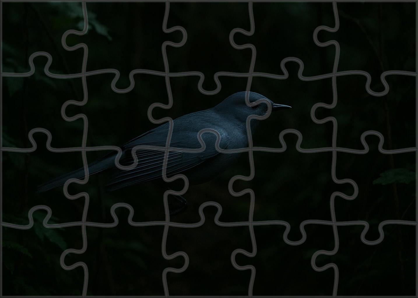 Dusky Veil Silent Forest Phantom With Shimmering Plumage 50 Piece Puzzle