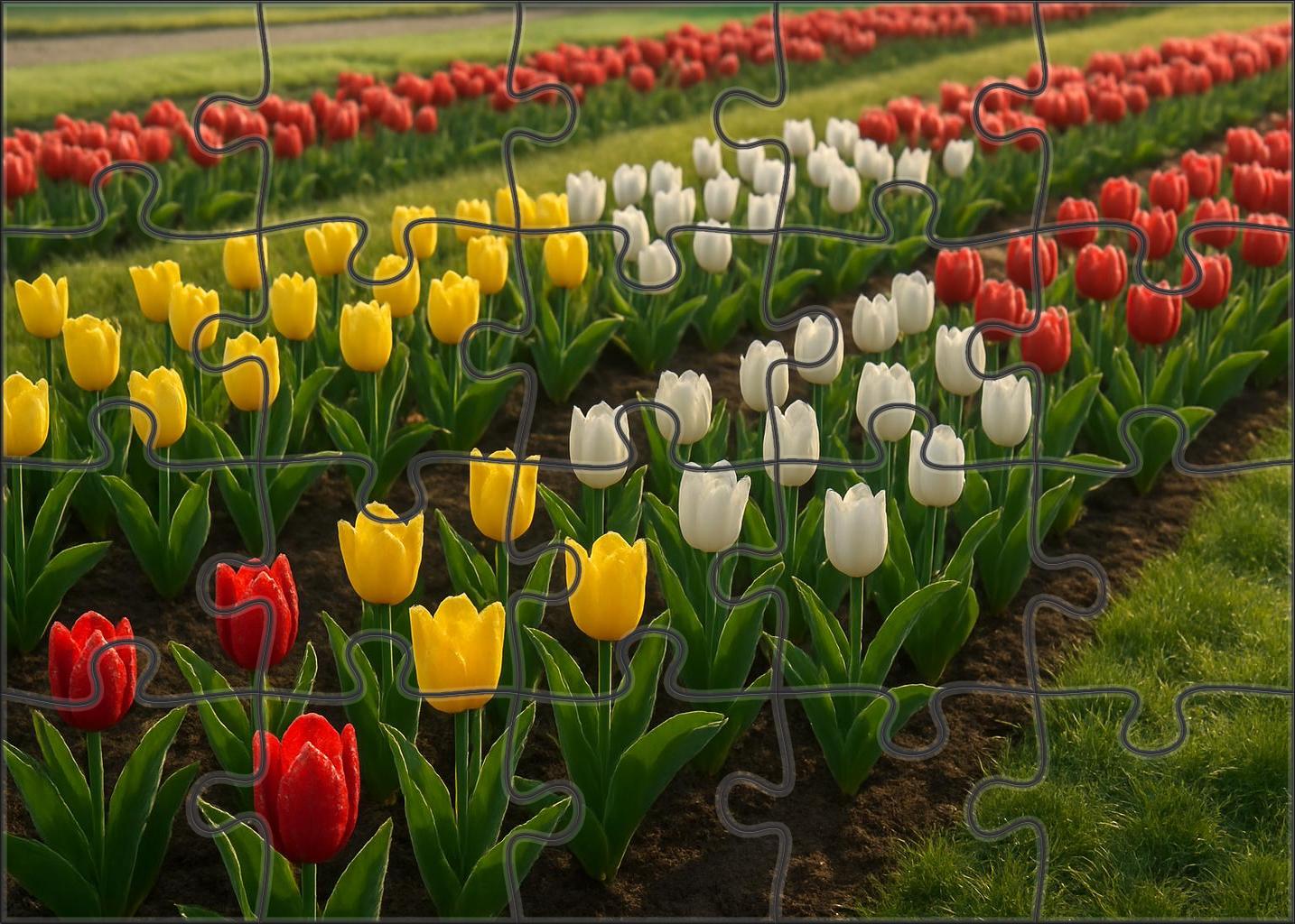 Morning Dew Tulip Bed Puzzle Challenge