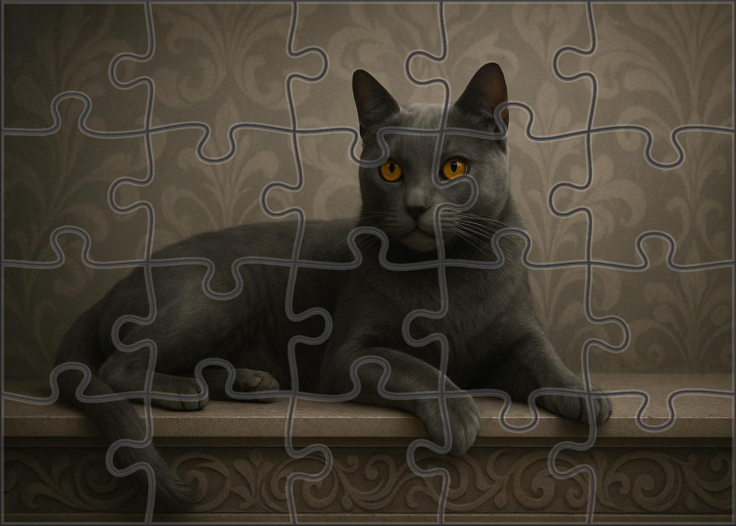 Charcoal Mist Mysterious Slate Gray With Playful Intelligence Puzzle Fun