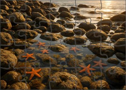 Mystic Tide Pools 100 Piece Puzzle