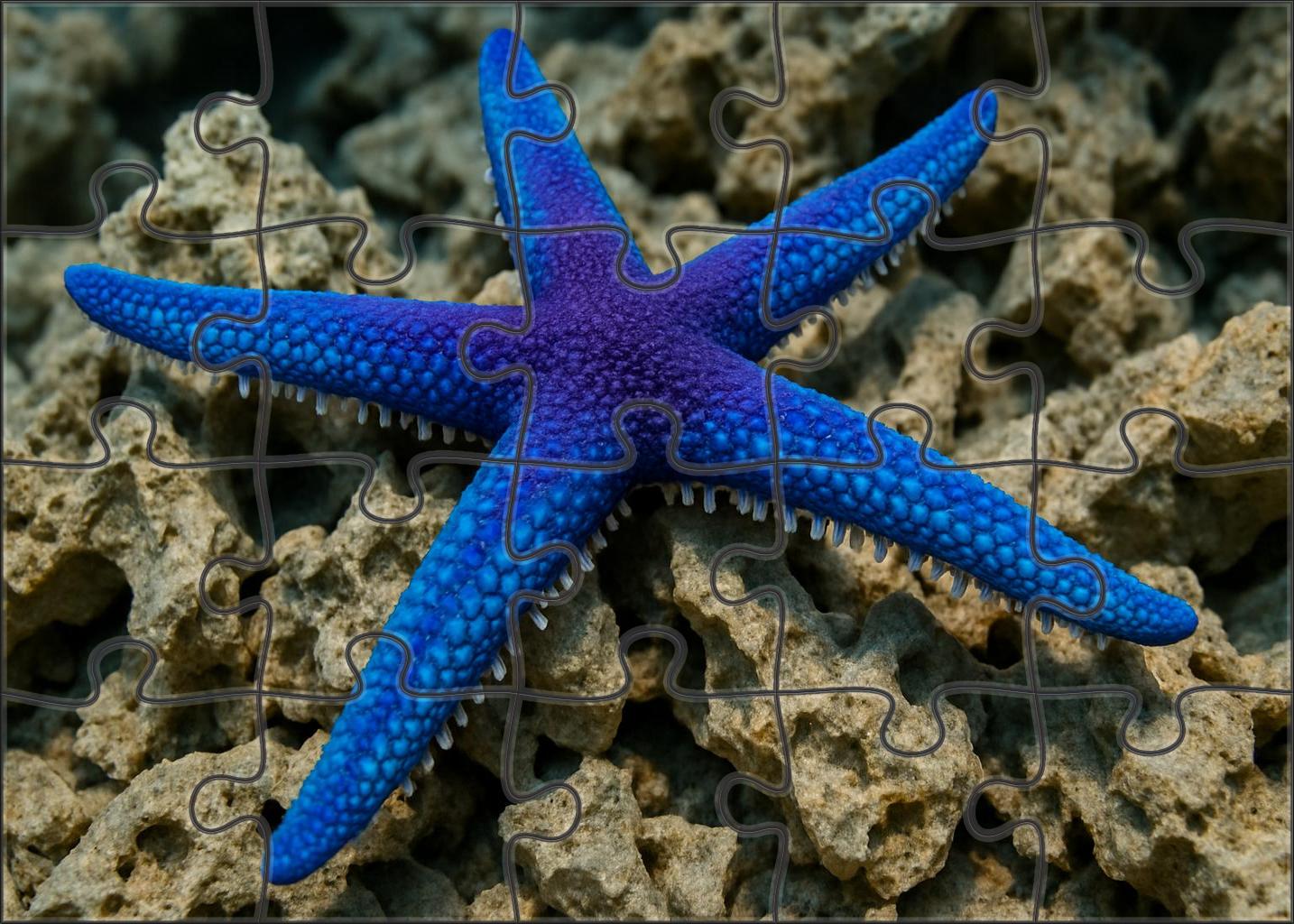 Celestial Sea Star Five-armed Coral Hunter Challenging Puzzles