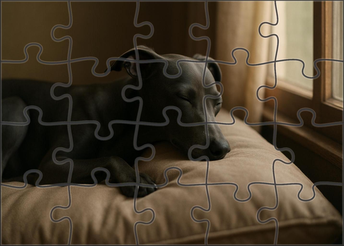 Shadow Veil Family Puzzles