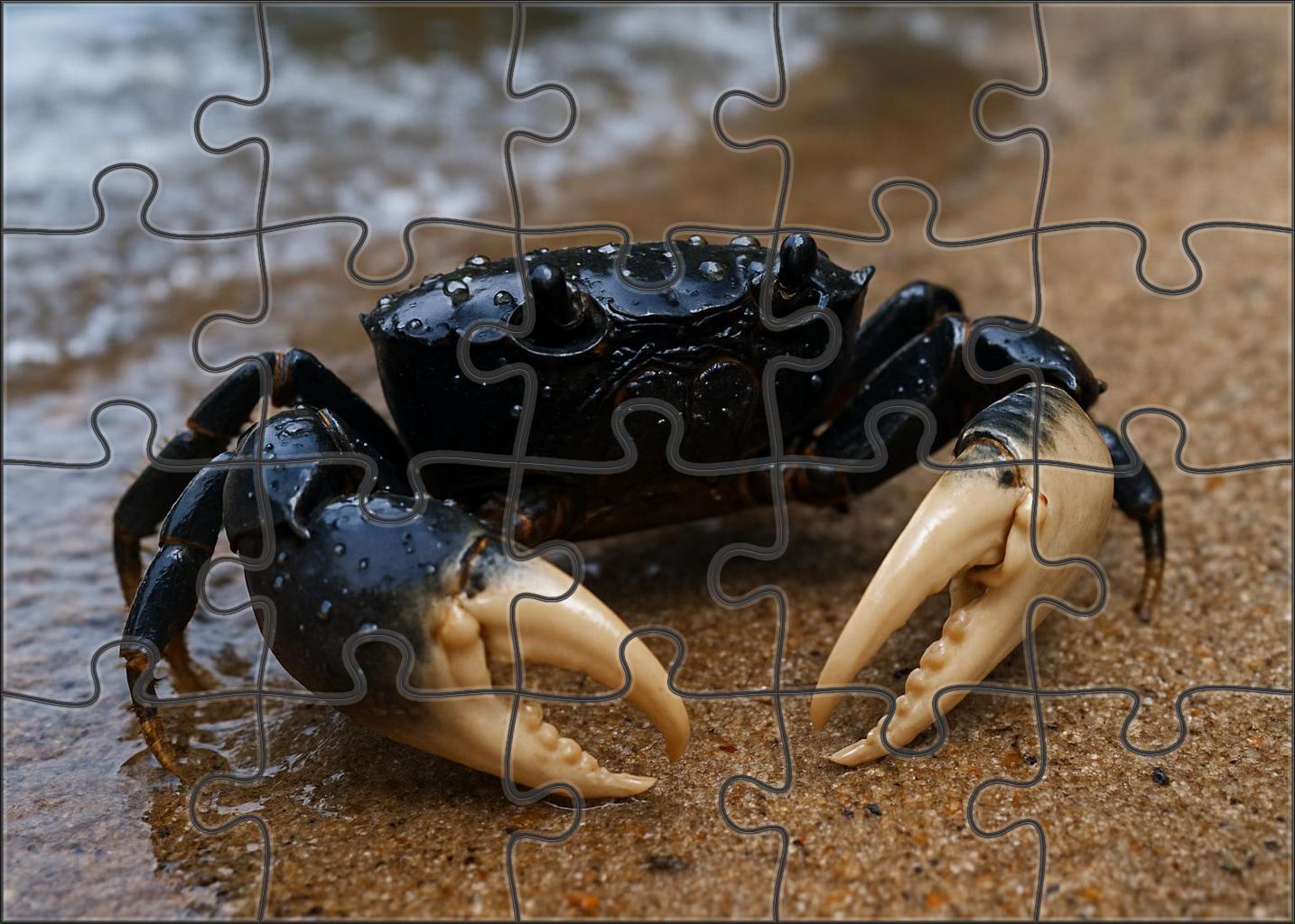 Sable Claw Crab 300 Piece Puzzle