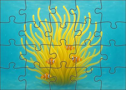 Golden Orb Anemone Radiant Tentacled Drifter With Symbiotic Clingfish 200 Piece Puzzle