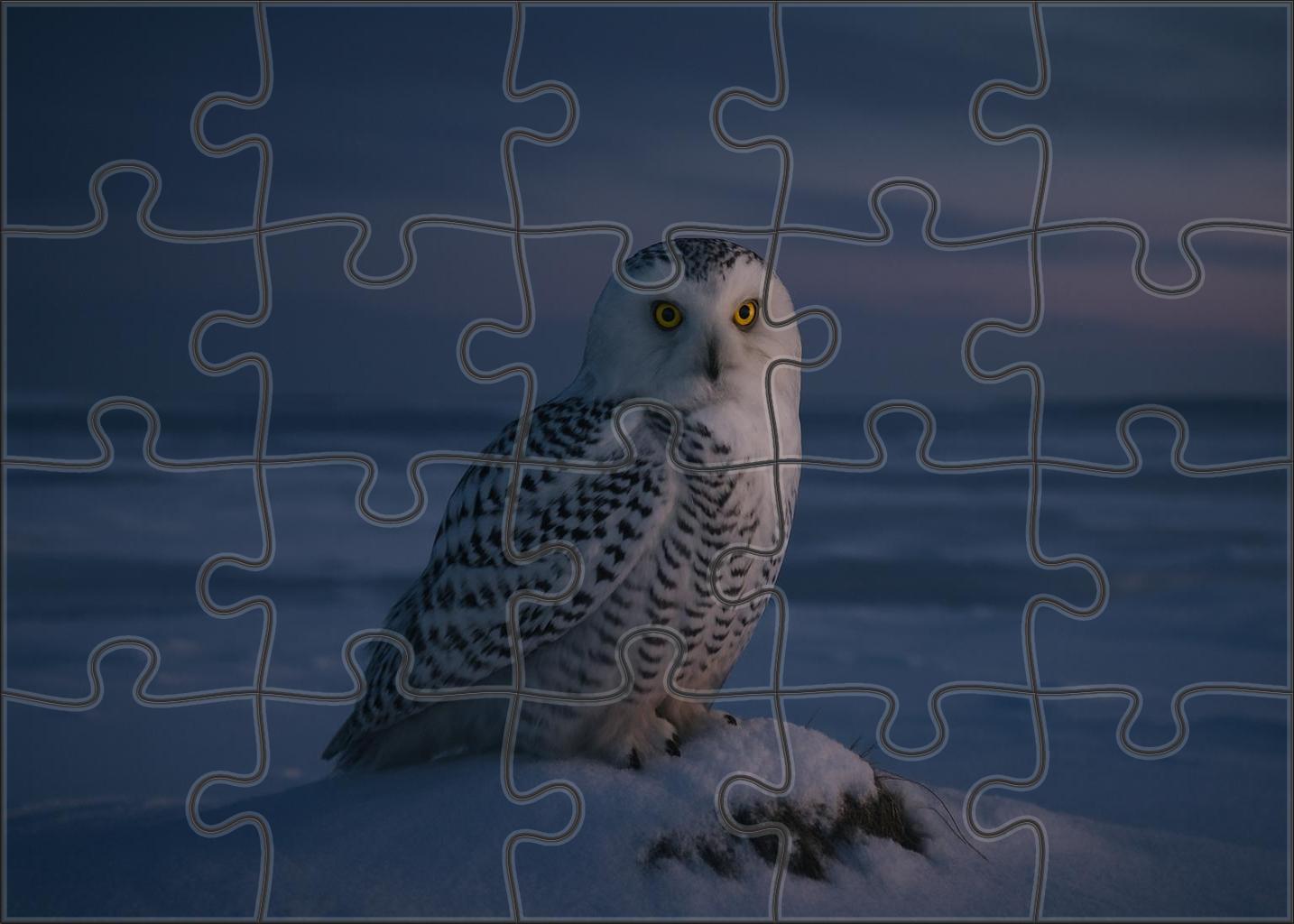 Snowy Owl Arctic Sentinel Of The Night Puzzle Challenge