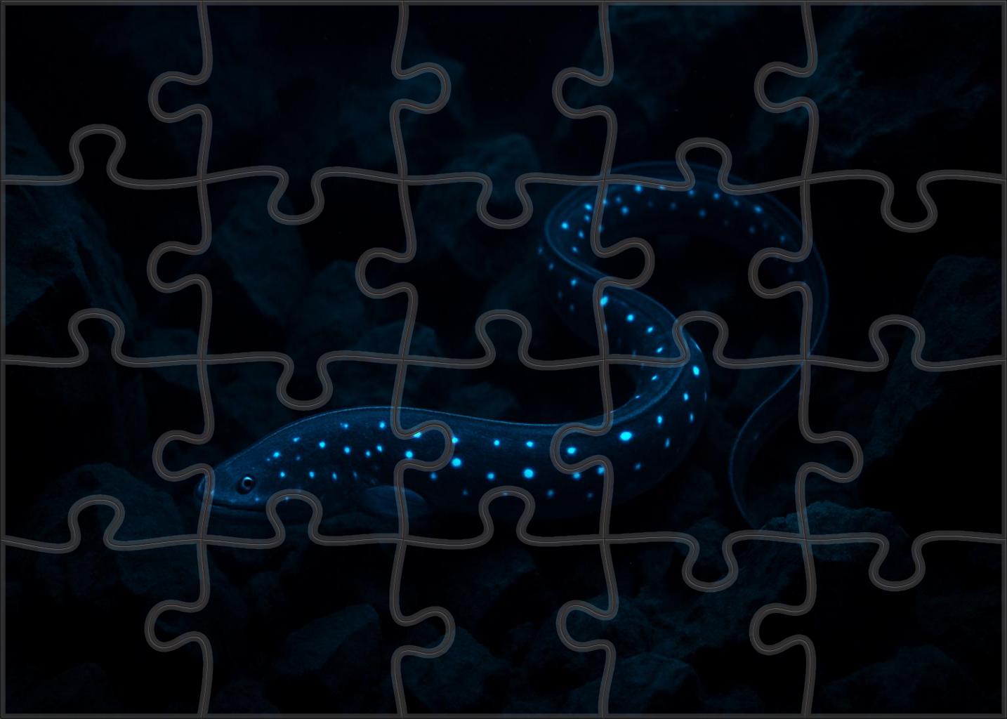 Cerulean Spotted Eel 300 Piece Puzzle