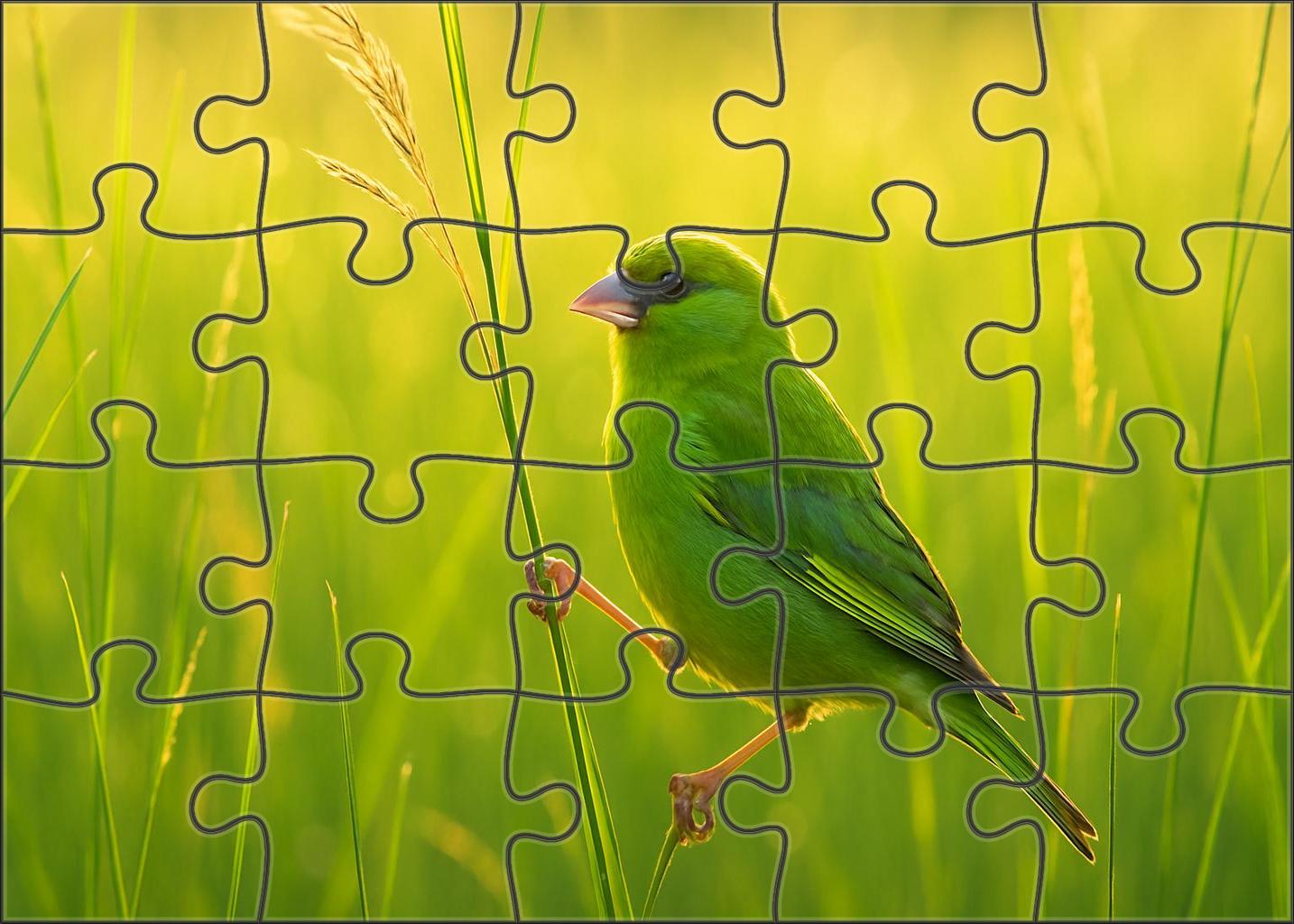 Emerald Finch Tiny Gem Of The Grasslands Puzzle Fun