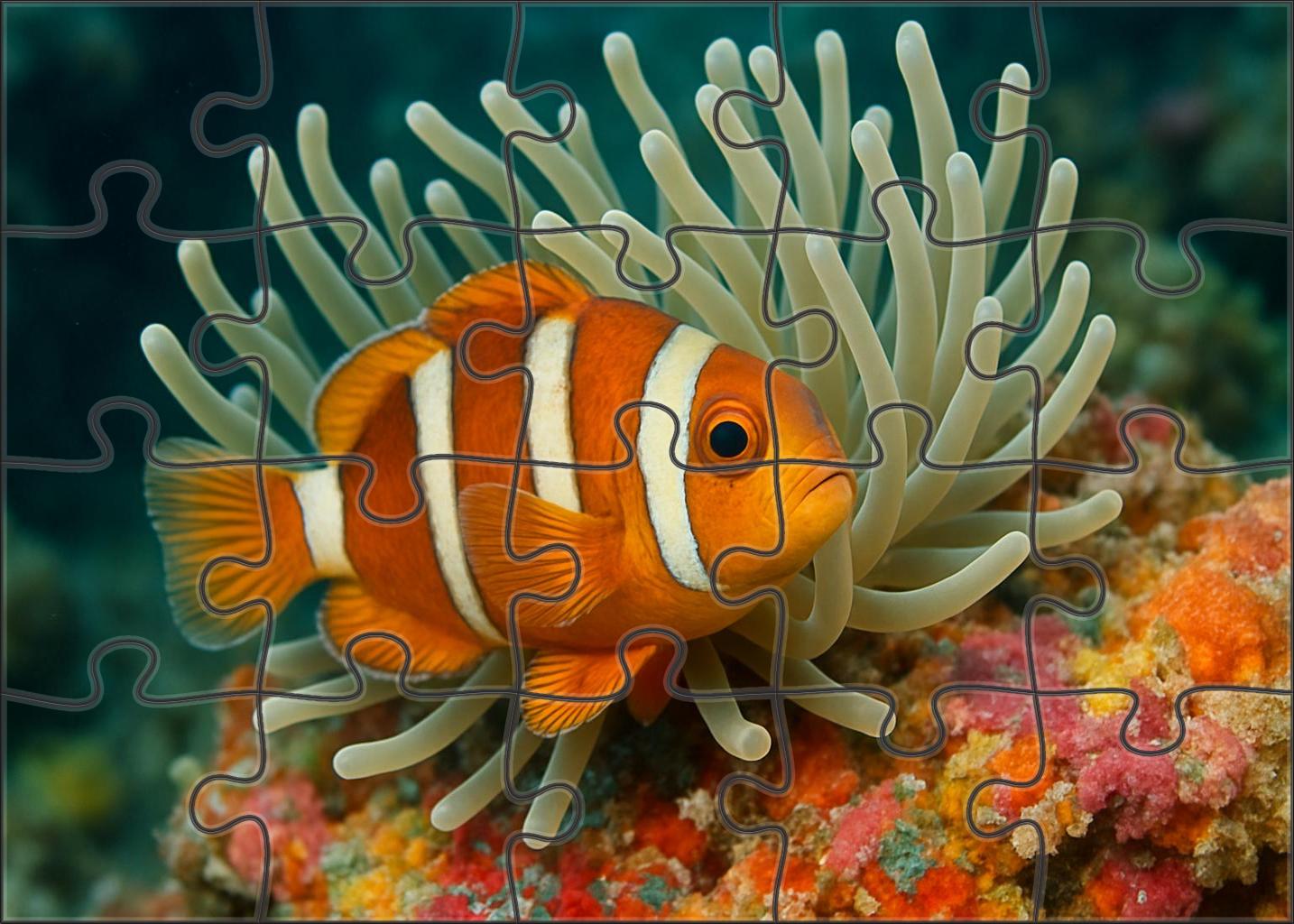 Amber Crest Anemonefish Bold Coral Guardian Easy Puzzles