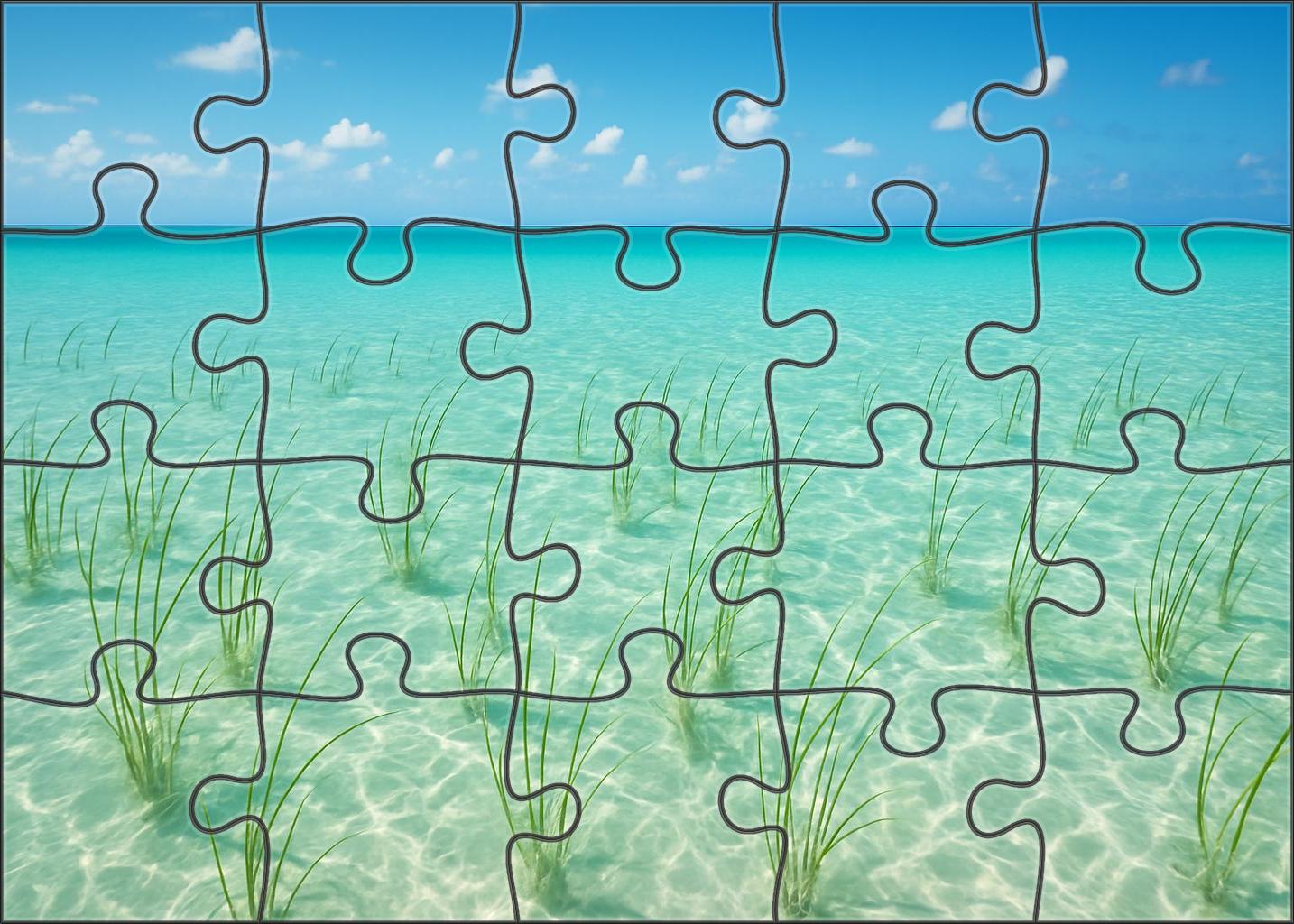 Sandy Lagoon Inlet 1000 Piece Puzzle