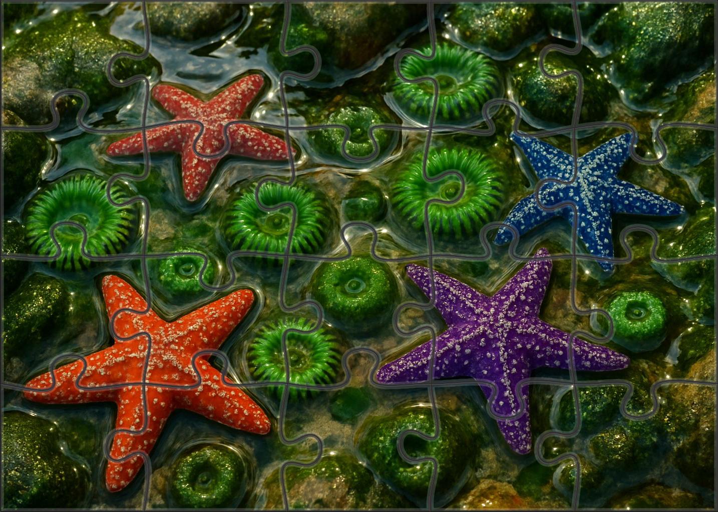 Silver Tide Pool Mosaic Puzzle Fun