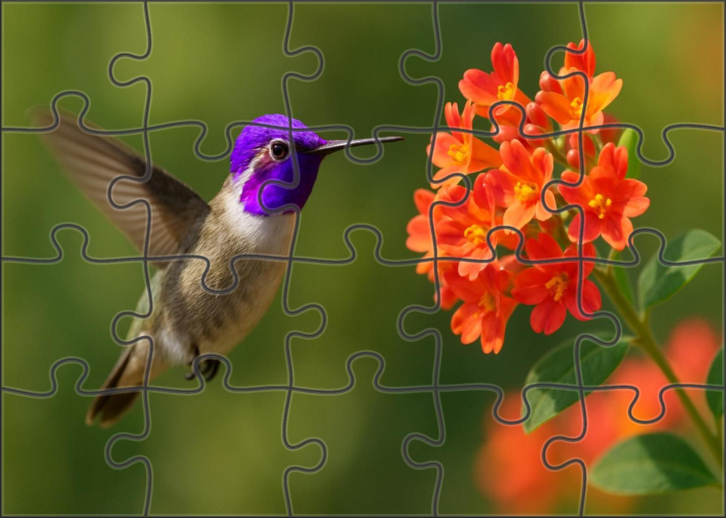 Violet-crowned Hummingbird A Hovering Gem Challenging Puzzles