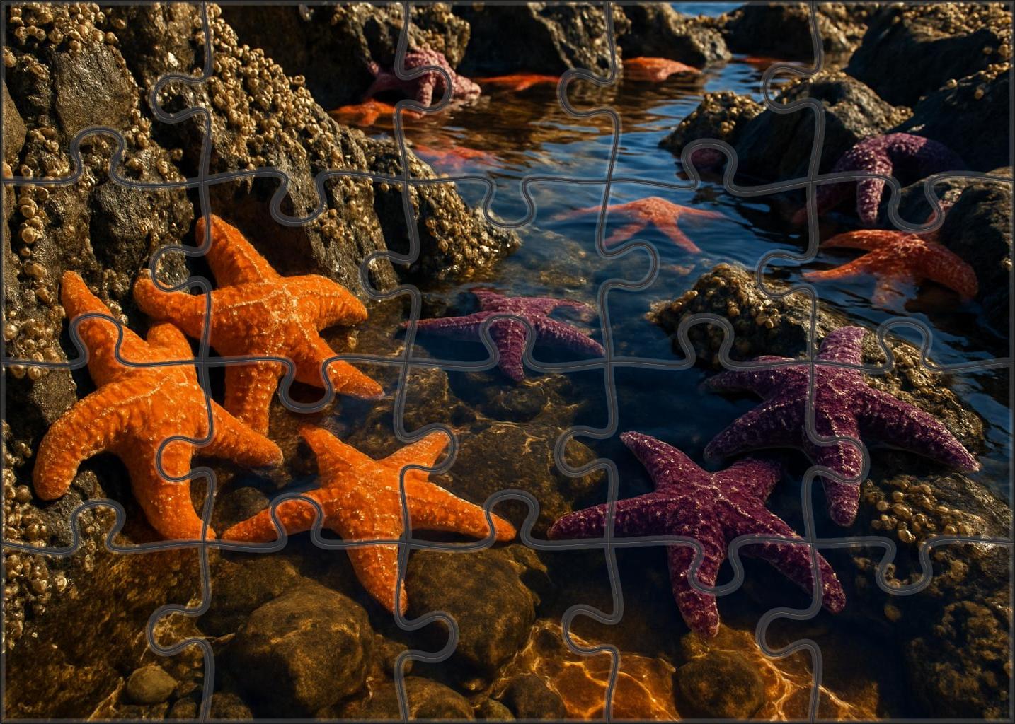 Golden Tide Pools Sun-warmed Rocky Basins Brimming With Life Challenging Puzzles