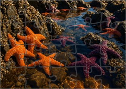 Golden Tide Pools Sun-warmed Rocky Basins Brimming With Life Challenging Puzzles