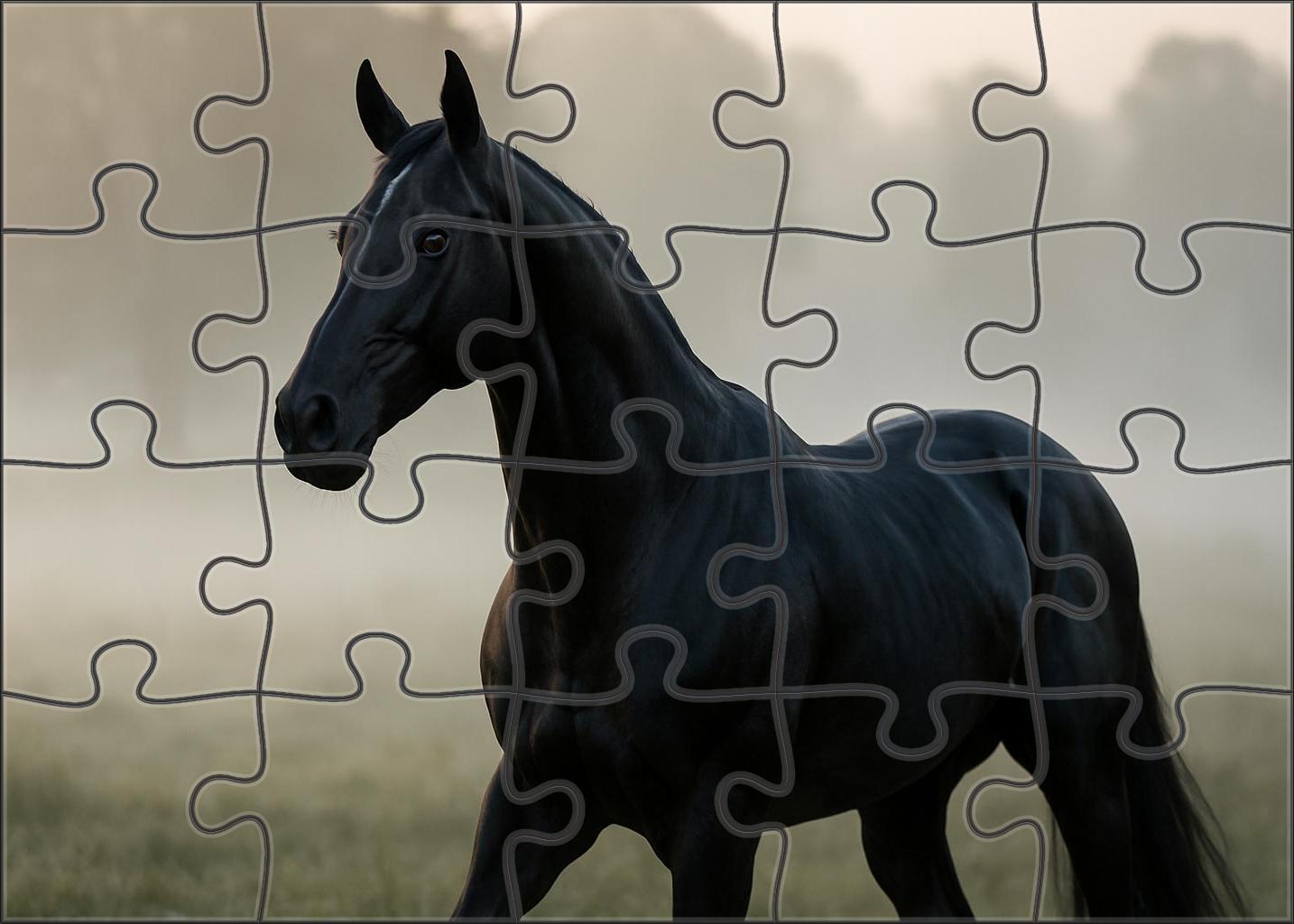 Obsidian Shadow Sleek Black Thoroughbred With Intense Presence 500 Piece Puzzle