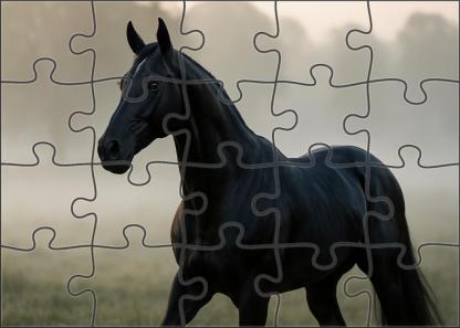Obsidian Shadow Sleek Black Thoroughbred With Intense Presence 500 Piece Puzzle