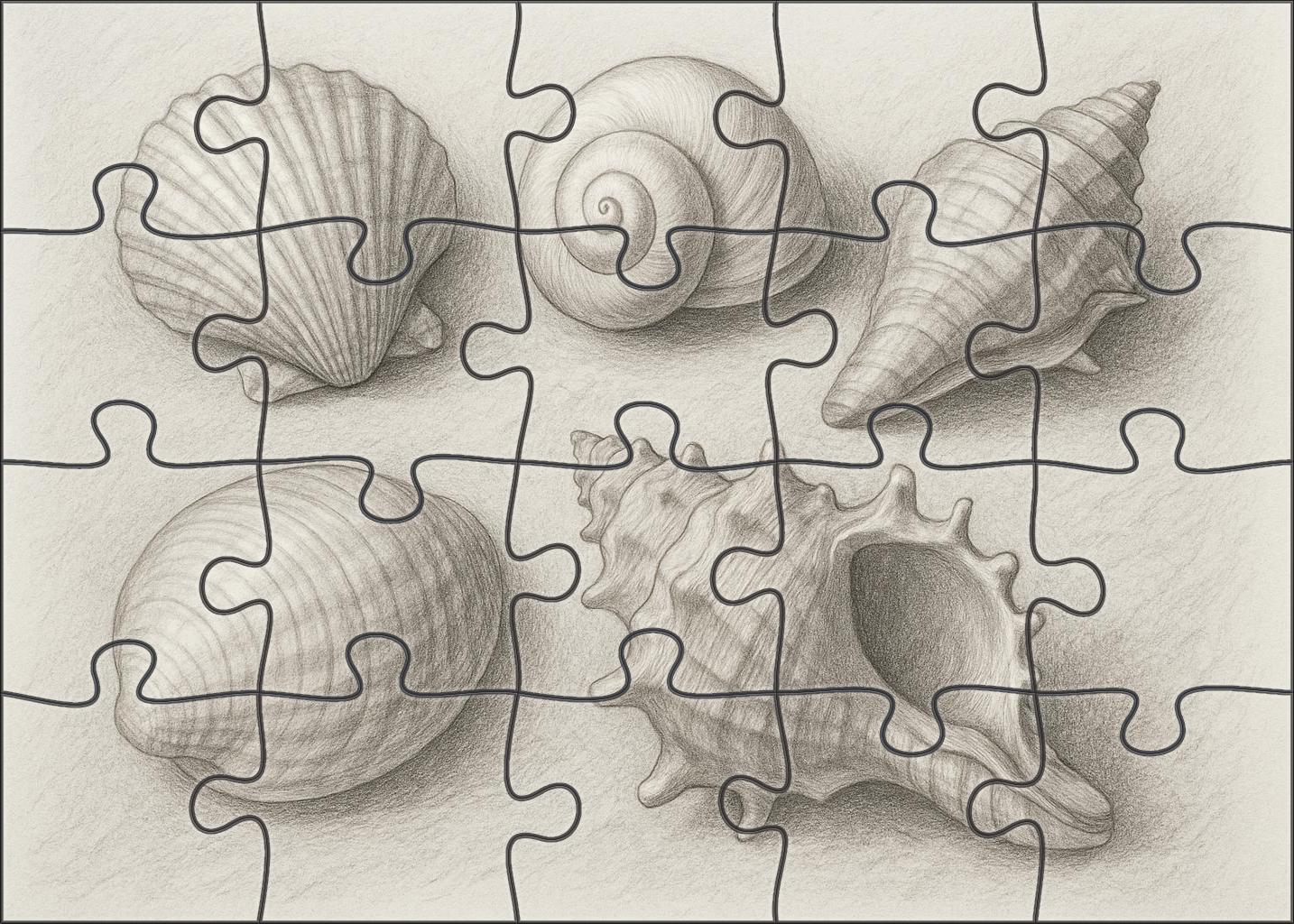 Seaside Shell Collection Textured Pencil Study With Tonal Gradients Challenging Puzzles