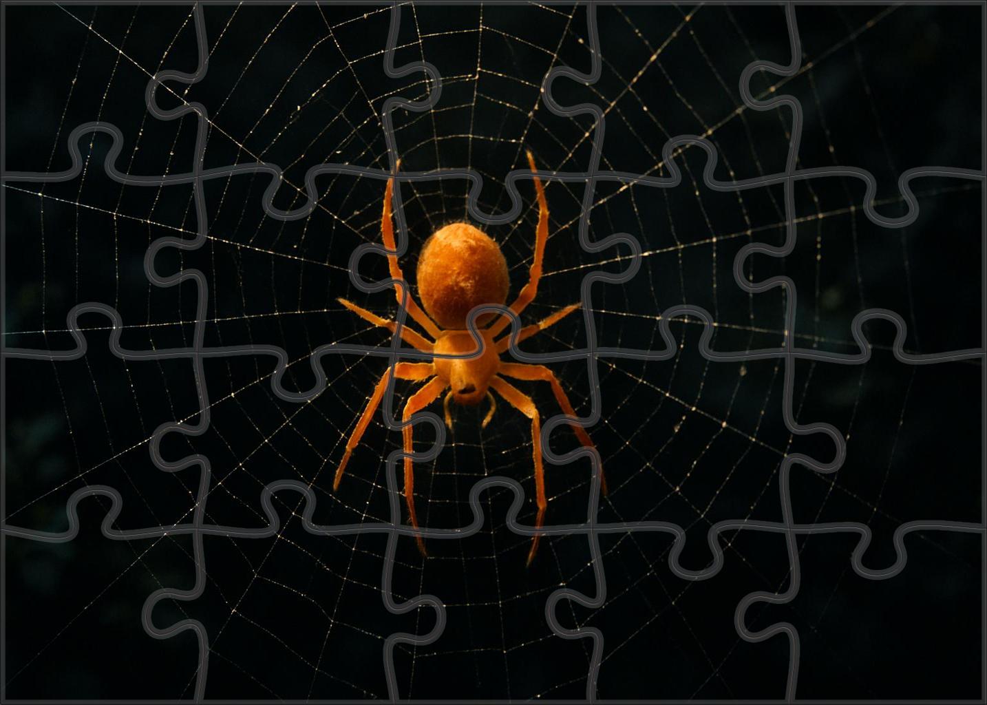Amber Venomspinner Nocturnal Web Architect 50 Piece Puzzle
