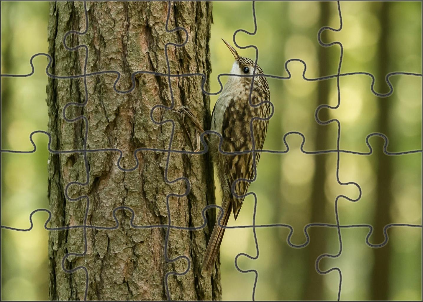 Brown Creeper Spiral Bark Forager Large Format Puzzle