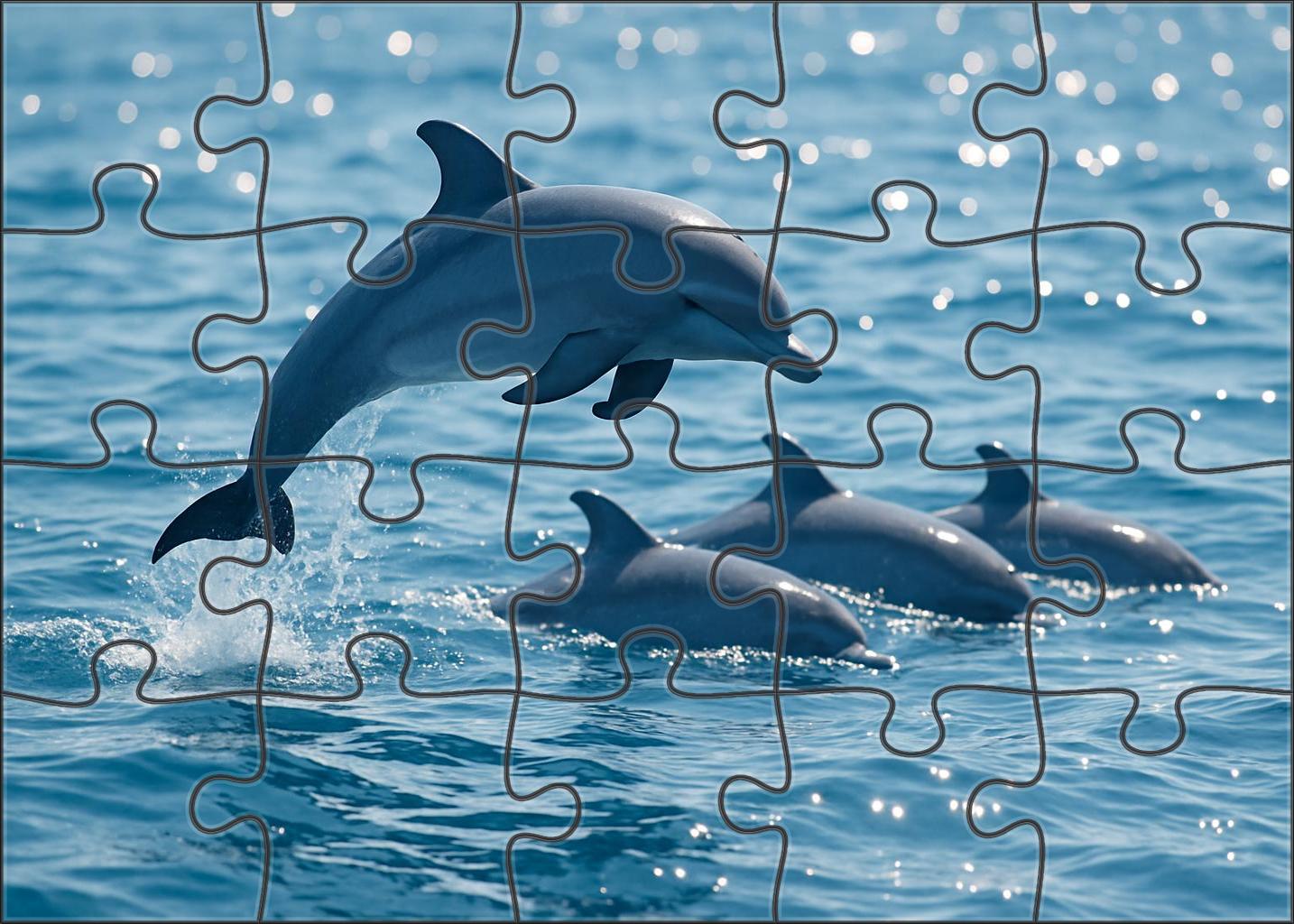 Azure Dwarf Dolphin Agile Surface Pod Member Easy Puzzles