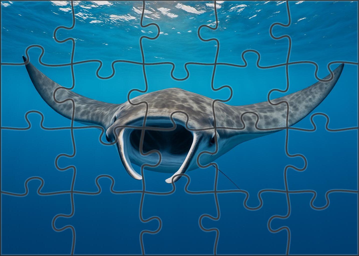 Dusky Manta Calf Gentle Filter-feeder With Expansive Winglike Pectorals 300 Piece Puzzle