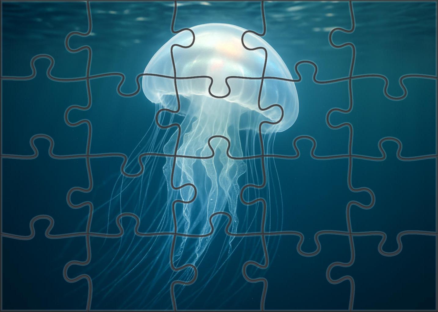 Pearly Glow Jelly Translucent Drifter With Soft Luminescence Puzzle Fun