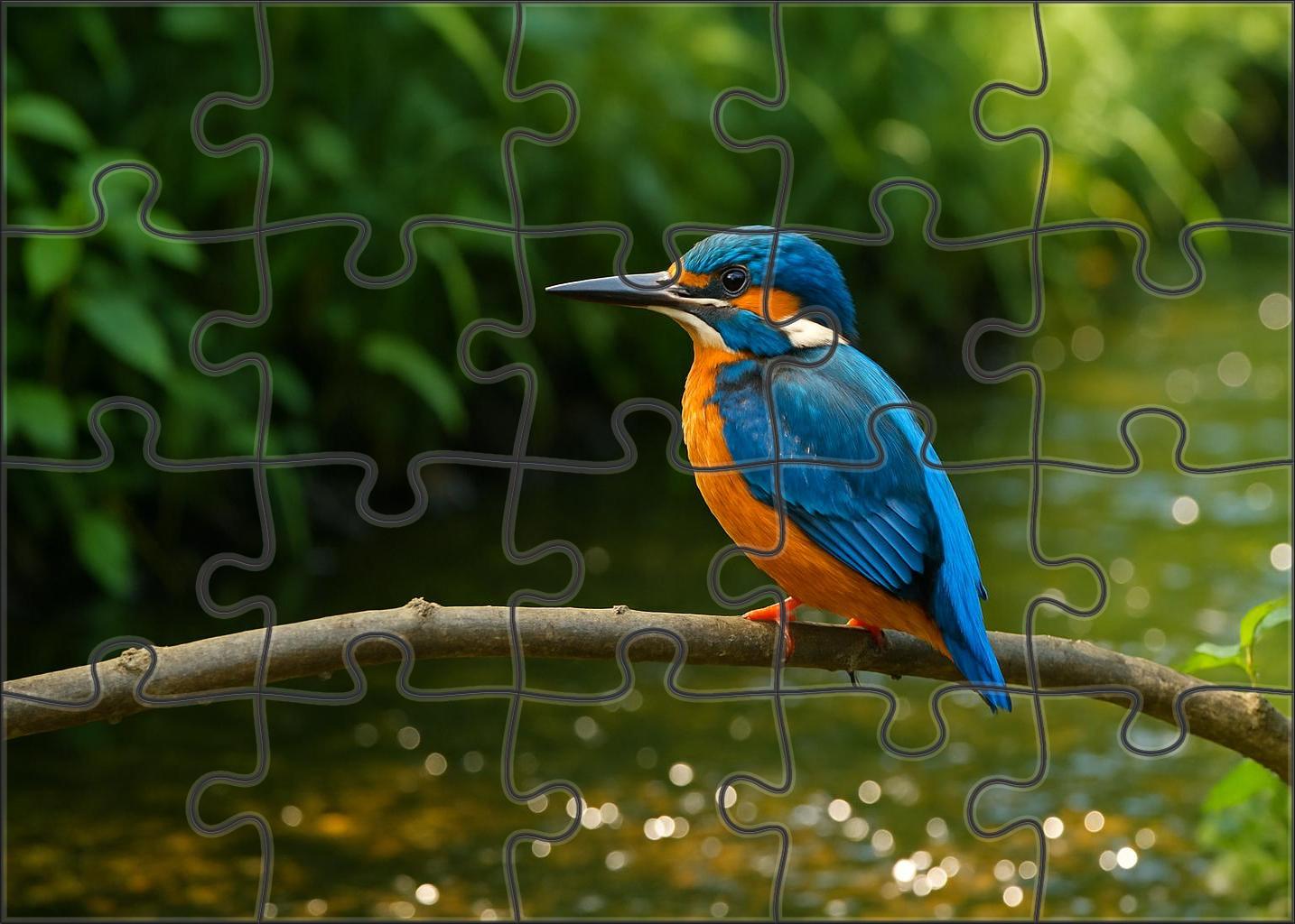 Azure Kingfisher The Jewel Of Riverbanks Puzzle Challenge