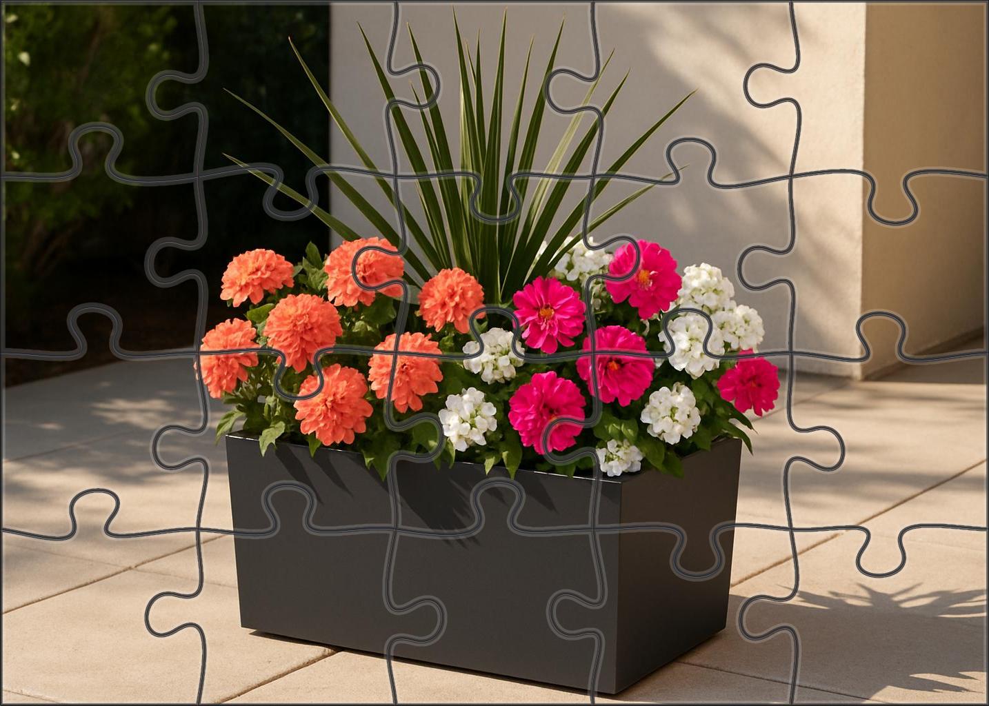 Coral Reef Container Garden Puzzle Challenge