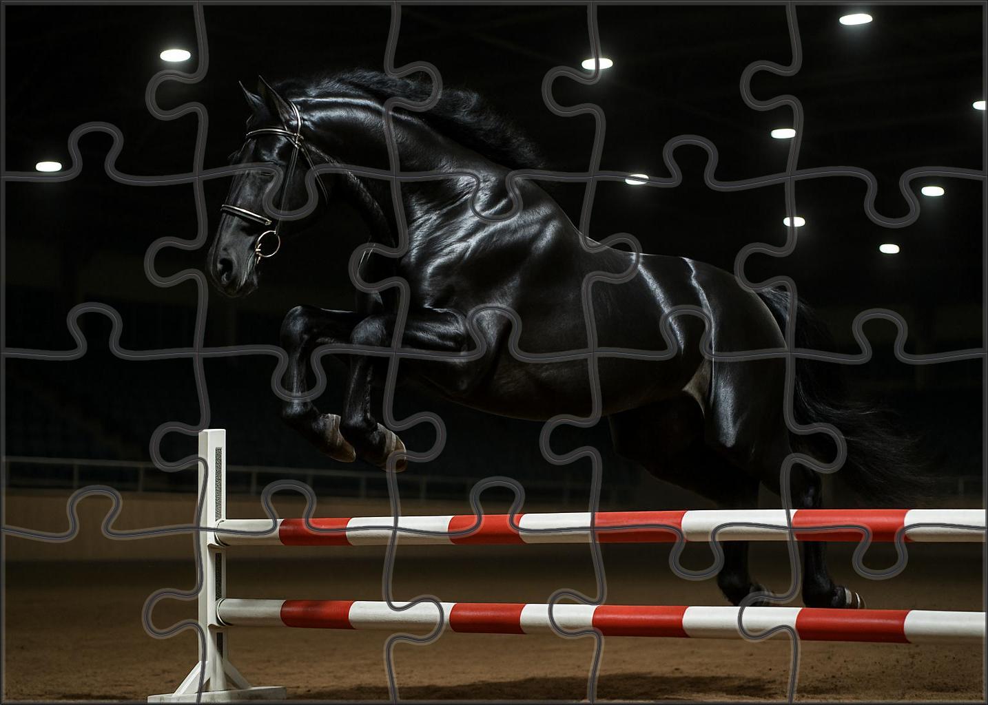 Midnight Velvet Sleek Black Stallion With Dynamic Presence Puzzle For Adults