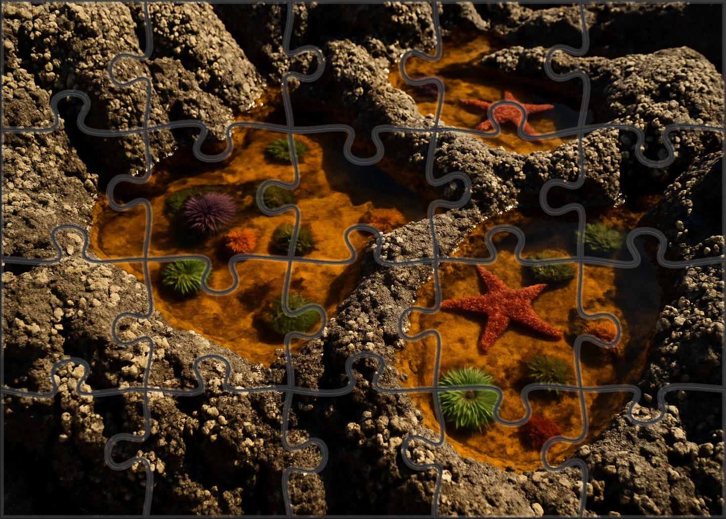 Amber Tide Pool Labyrinth 100 Piece Puzzle