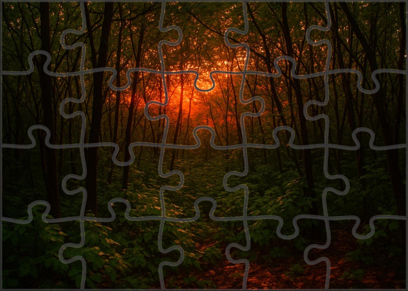 Sunset Thicket Unique Puzzle Design