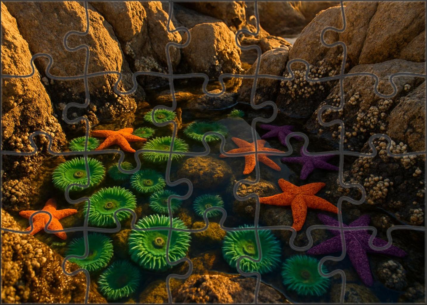 Tidal Granite Pools Rocky Basins Vibrant With Intertidal Life Premium Puzzle Pieces