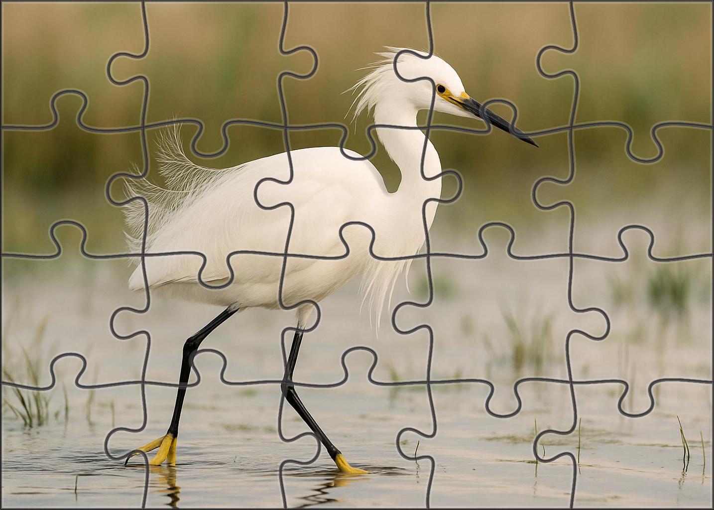 Snowy Egret Graceful Marshland Performer 300 Piece Puzzle
