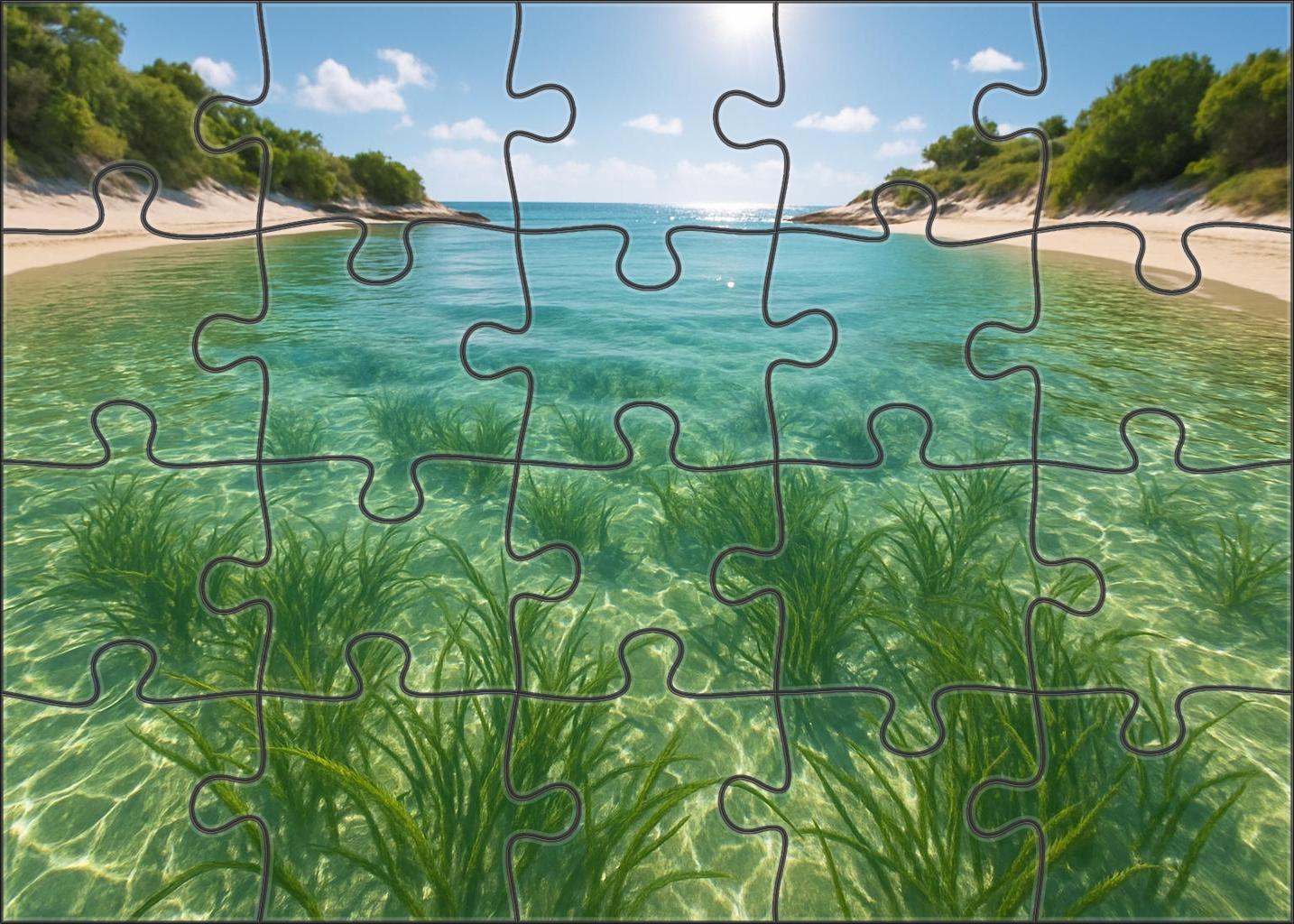 Seagrass Bay Refuge Puzzle Challenge