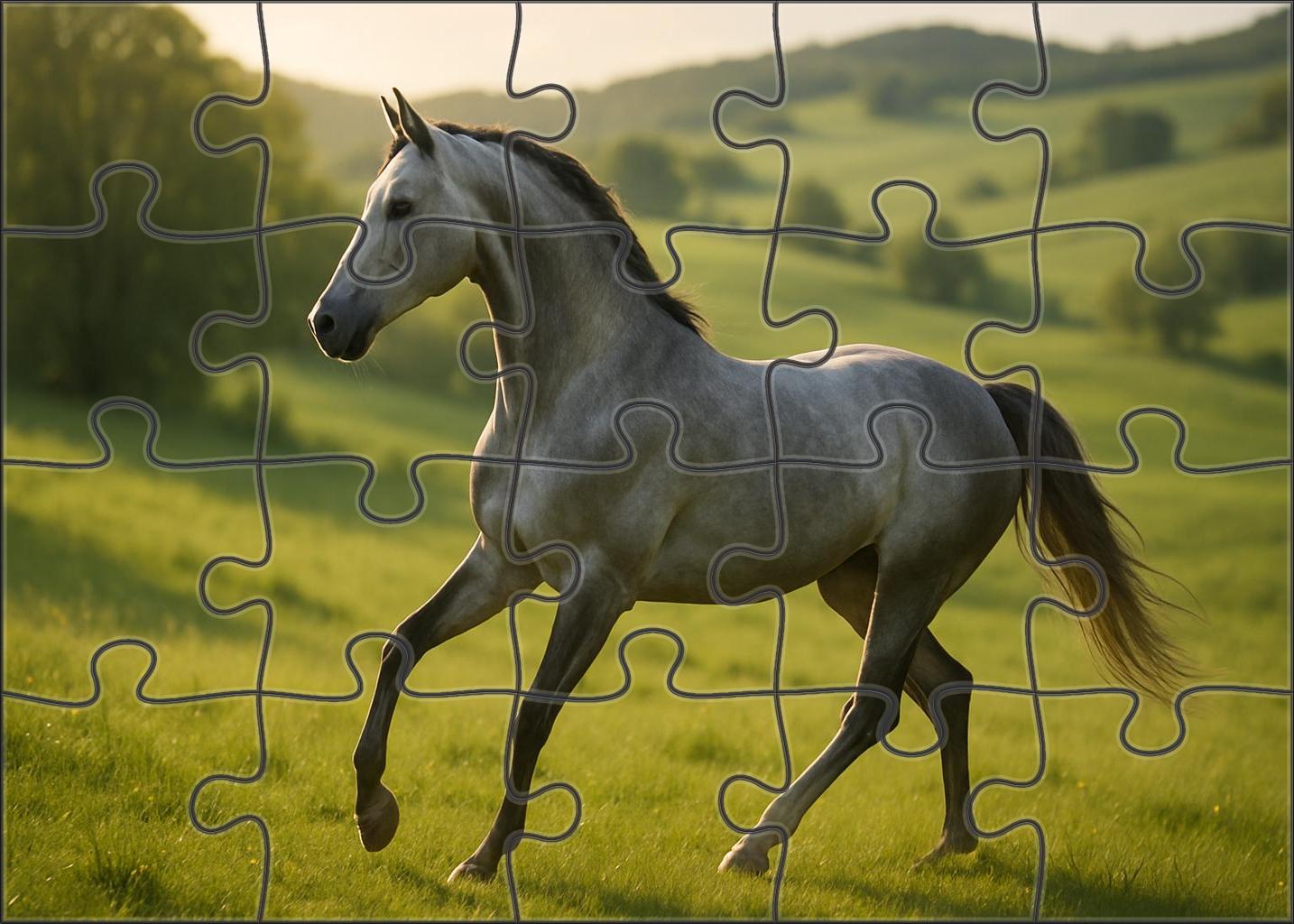 Silver Moon Gazelle Graceful Gray Mare With Effortless Canter Puzzle For Adults