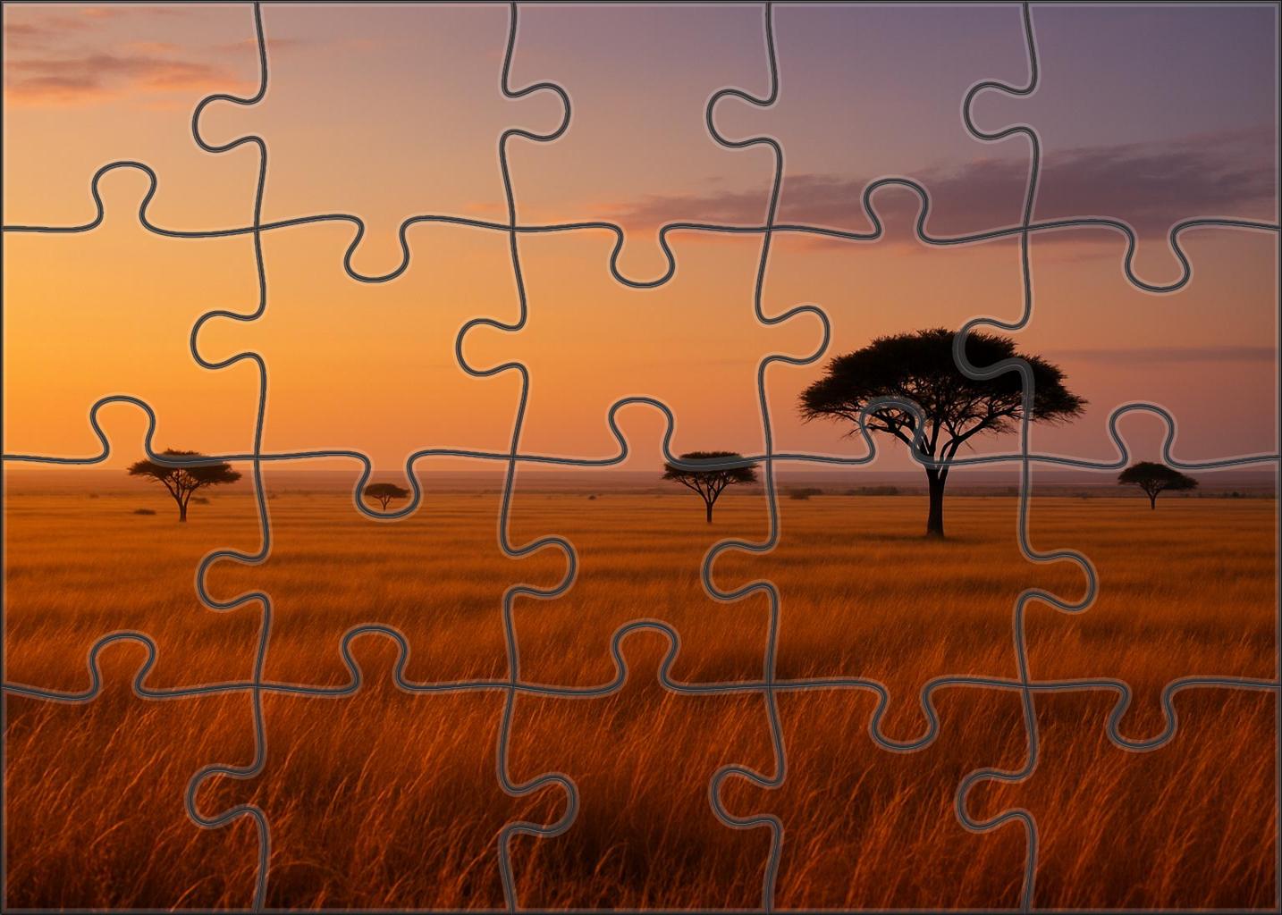 Golden Savannah Twilight Challenging Puzzles