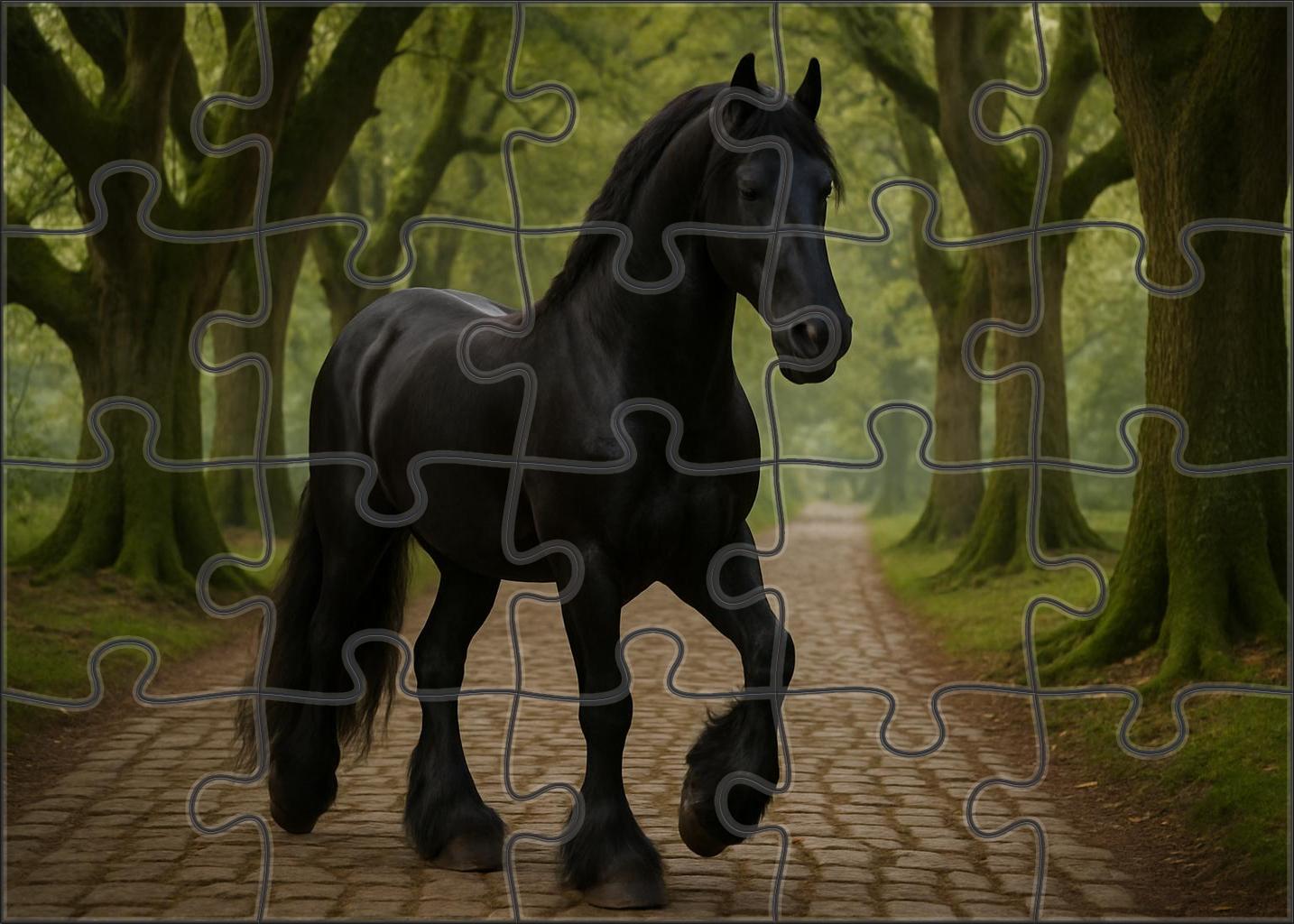 Ebony Monarch Friesian Stallion Challenging Puzzles