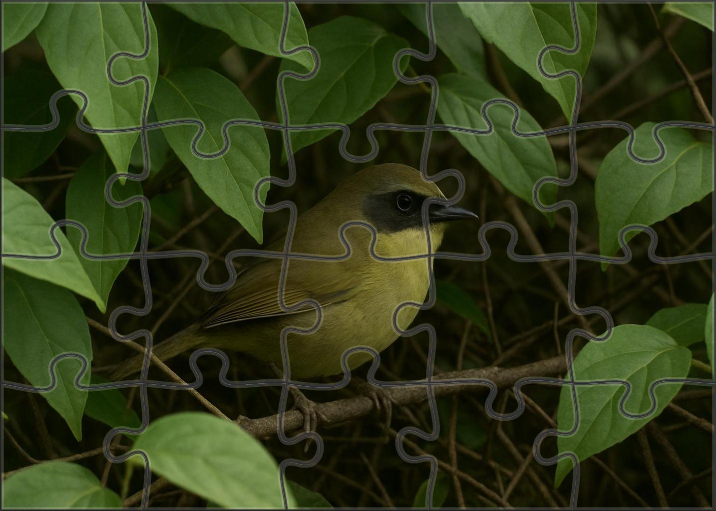 Mourning Warbler Subtle Song In Dense Understory 300 Piece Puzzle