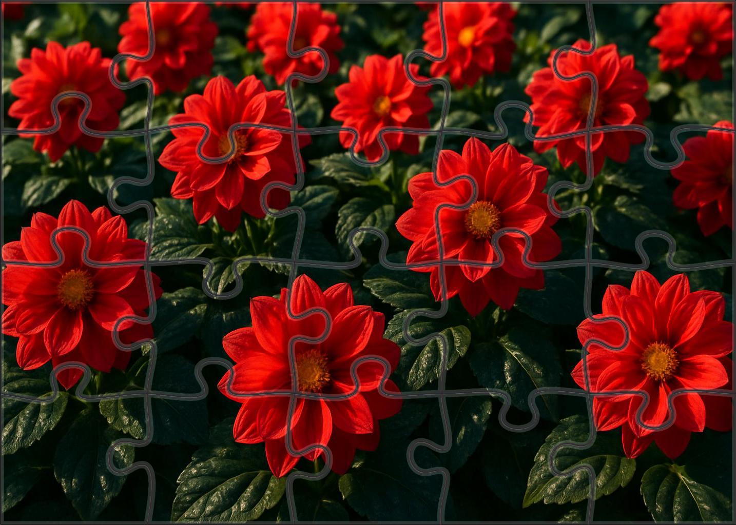 Crimson Glow Garden Bed 50 Piece Puzzle