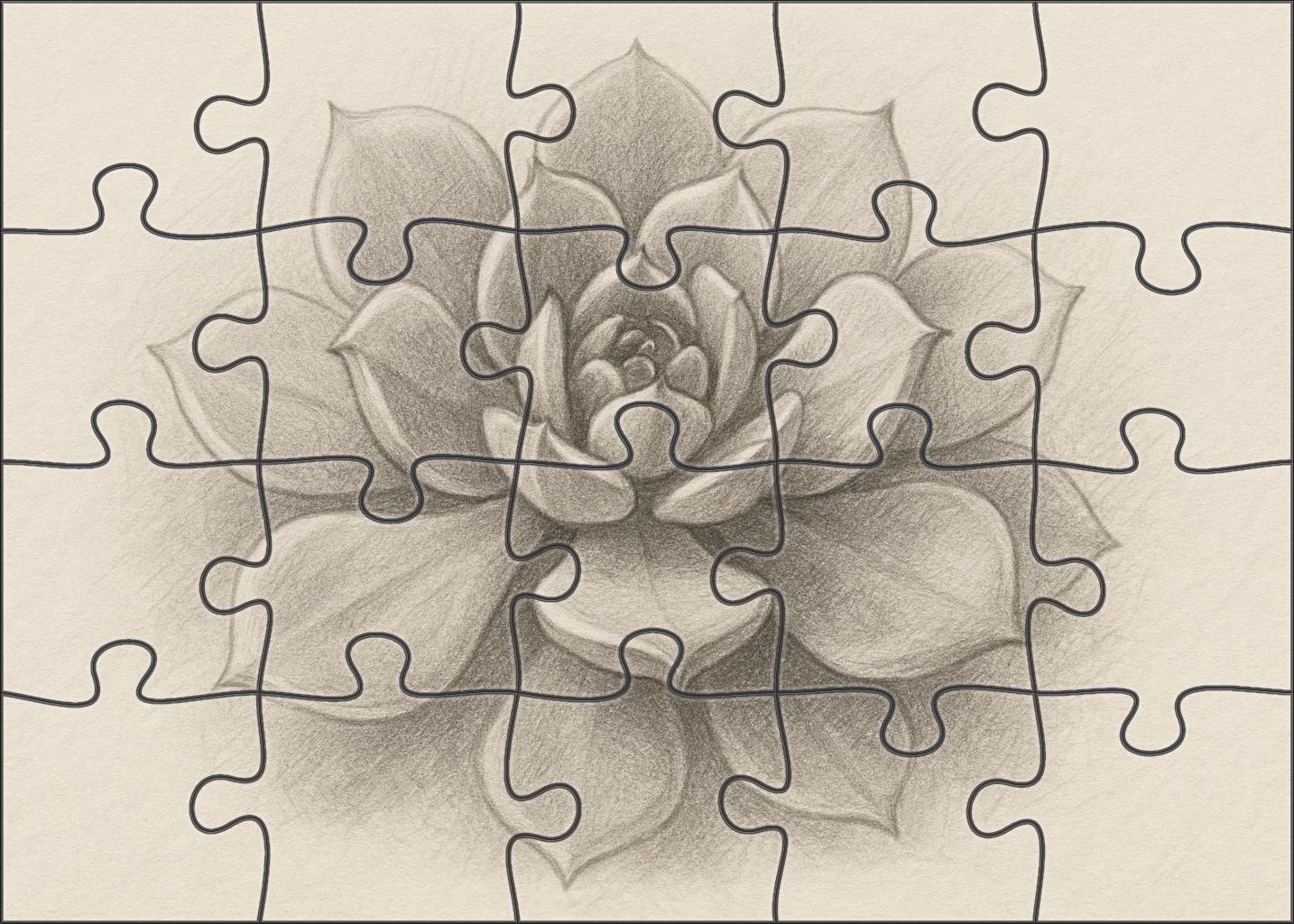 Botanical Portrait Of Succulent Growth Soft Graphite Rendering With Layered Shading 1000 Piece Puzzle