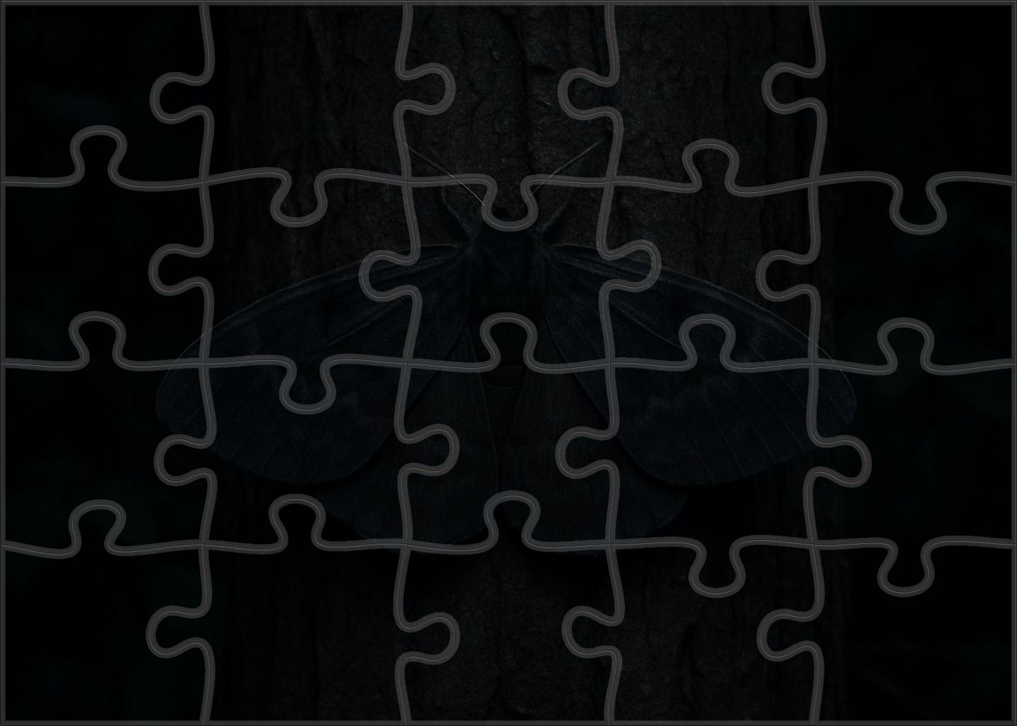 Shadow Veil Moth Large Moth With Smoky Black Wings And Subtle Patterning 100 Piece Puzzle