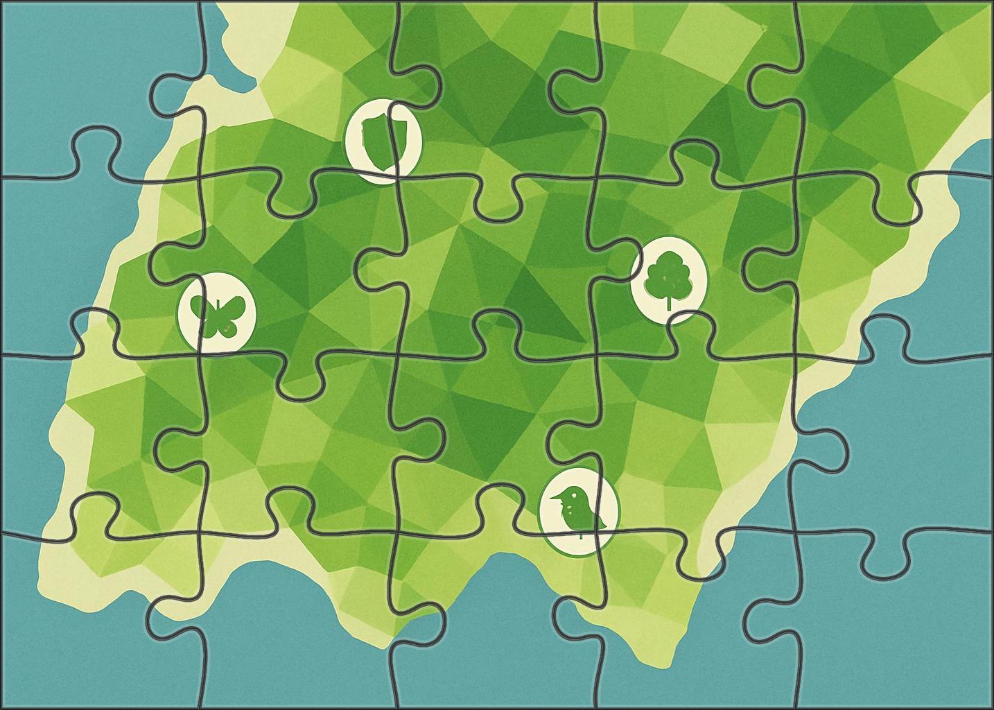 Mangrove Forest Extent Visualization Mini Puzzle