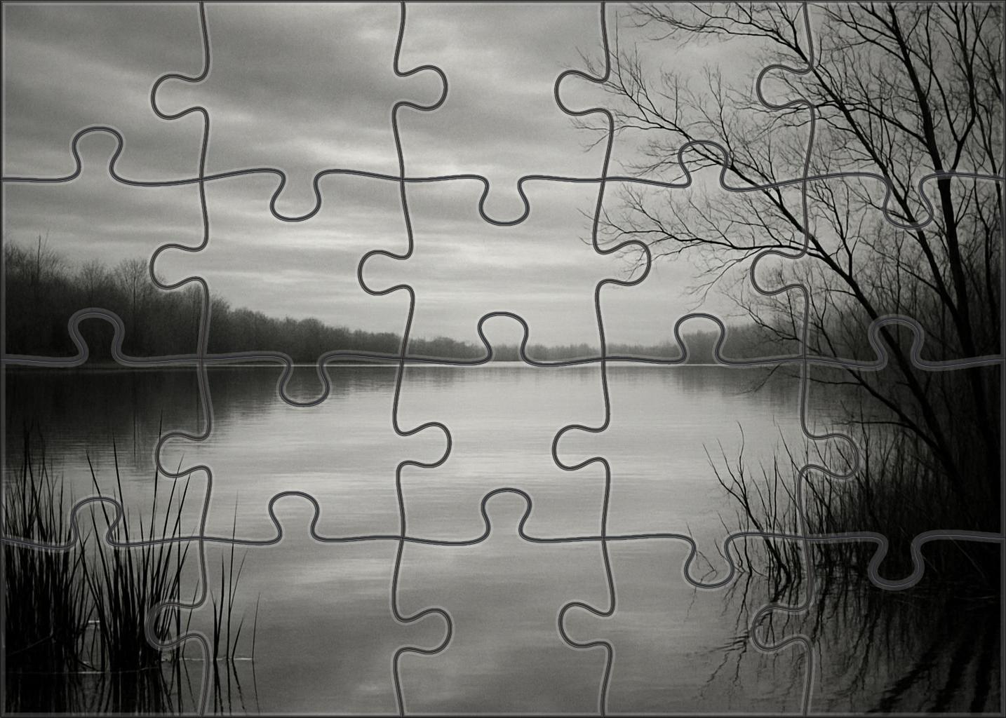 Silver Lake Reflection Premium Puzzle Pieces