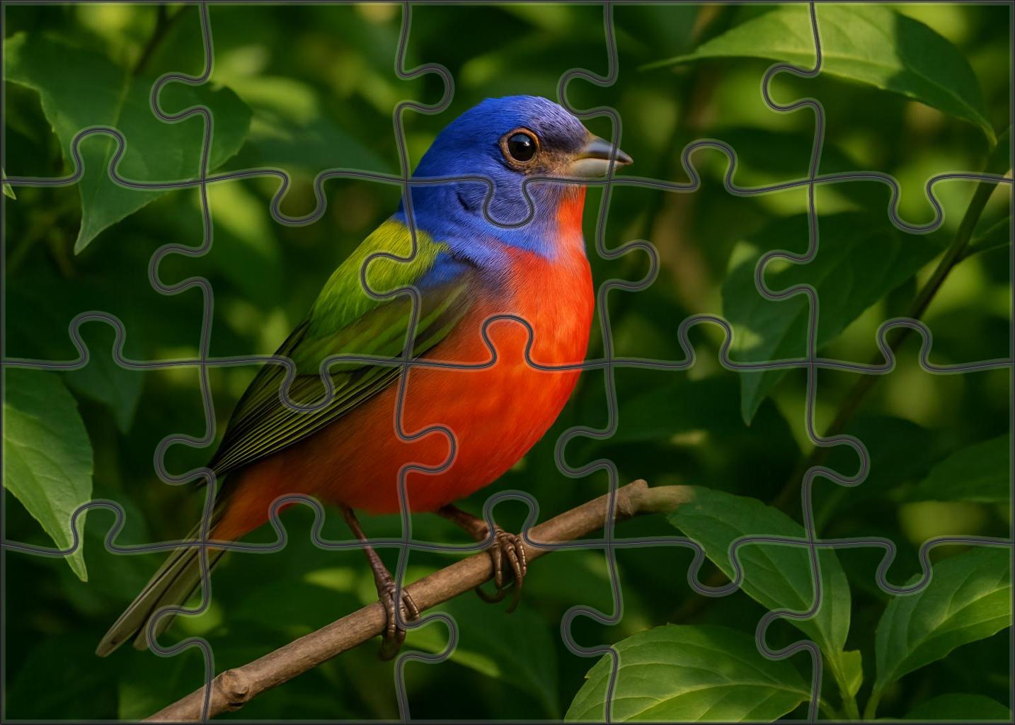 Painted Bunting Living Rainbow Custom Jigsaw Puzzle